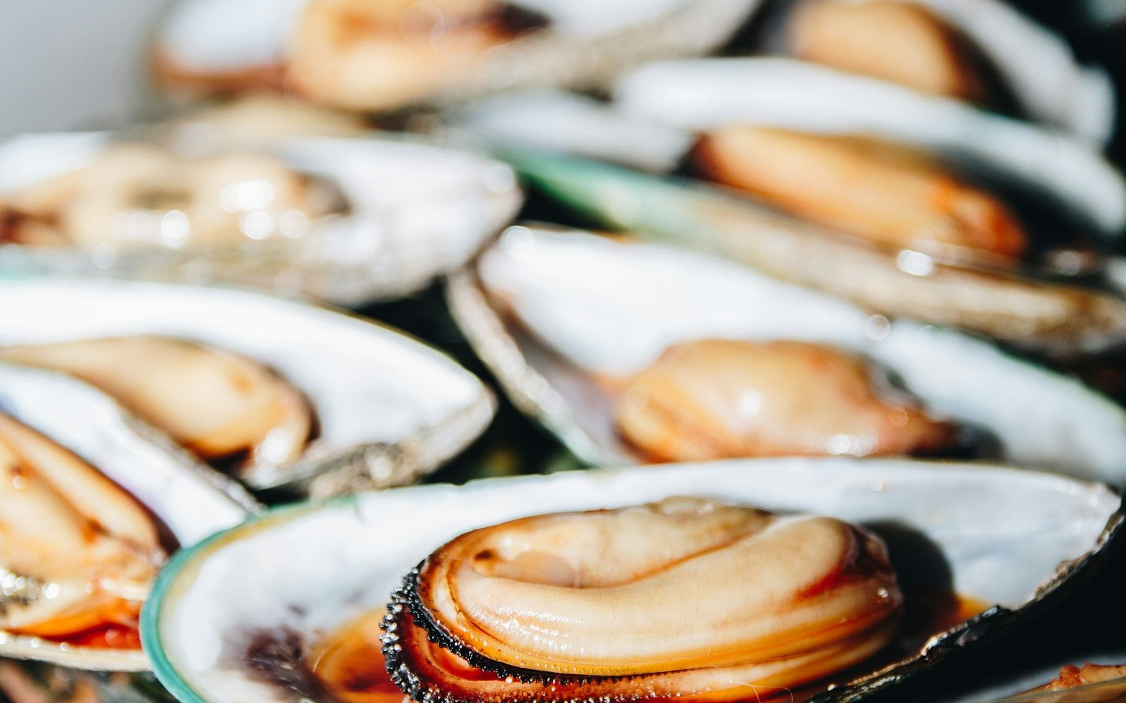JAMES N AHERN — seafood selection